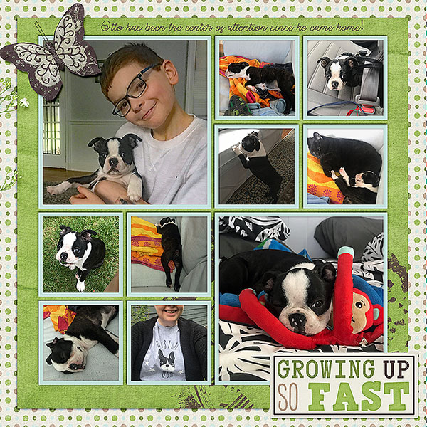 Otto Overload 2