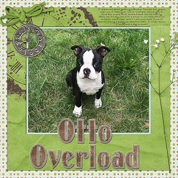 Otto Overload