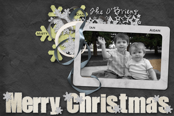 Our 2009 Christmas Card