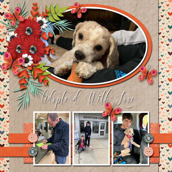 Our-adopted-baby