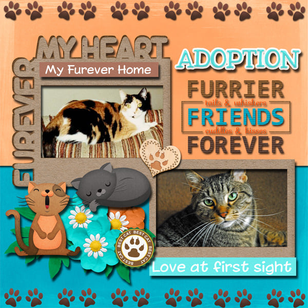 Our Adopted Furbabies