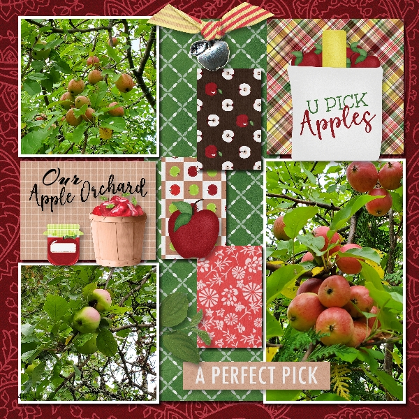 Our Apple Orchard