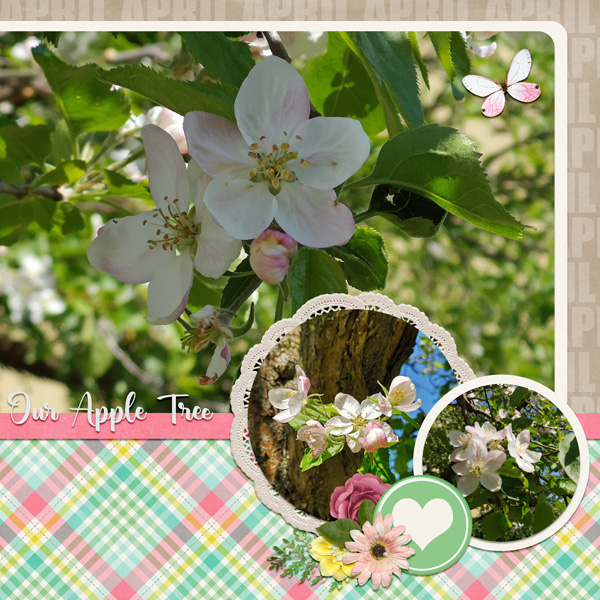 our apple tree
