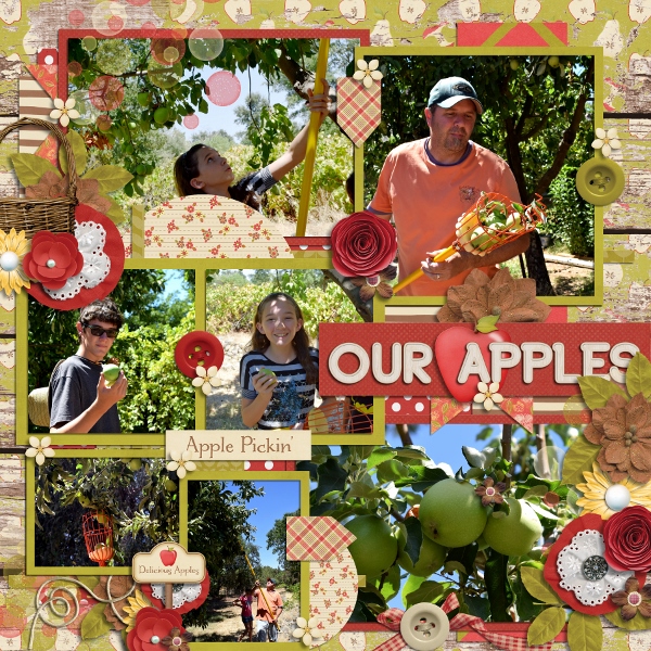 Our Apples