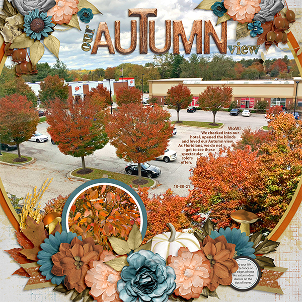 Our Autumn View