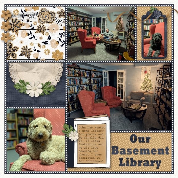 Our Basement Library 2025.jpg