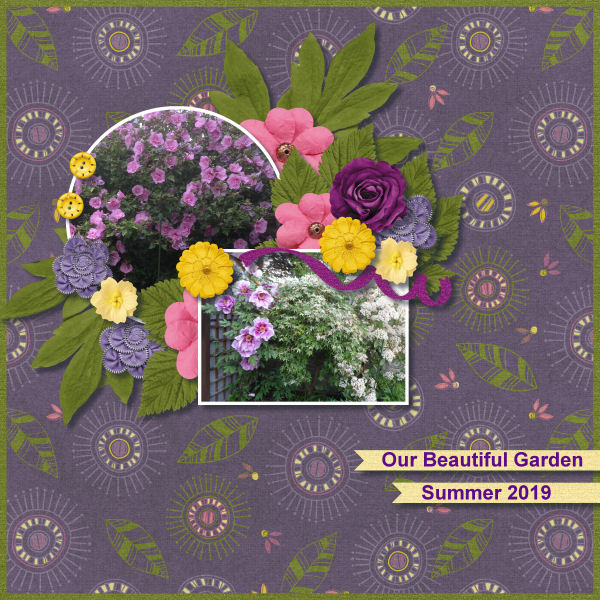 Our Beautiful Garden