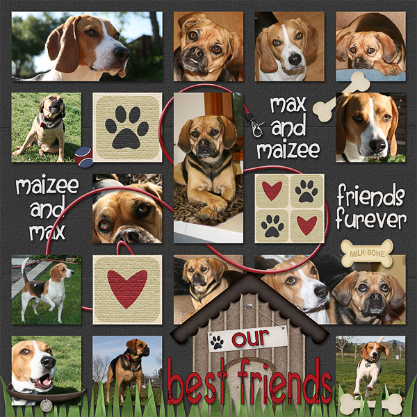 Our Best Friends