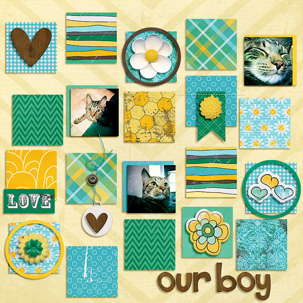 Our Boy