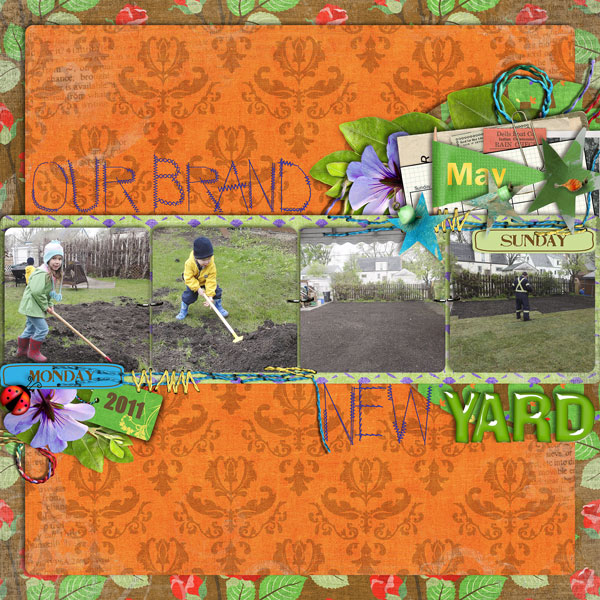 Our Brand New Yard