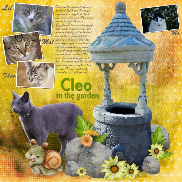 Our cats