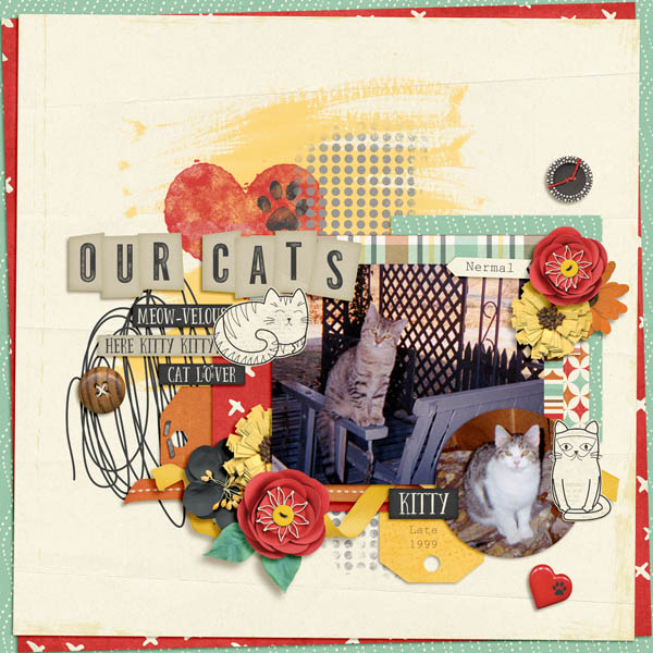 Our Cats