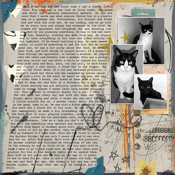 our cats