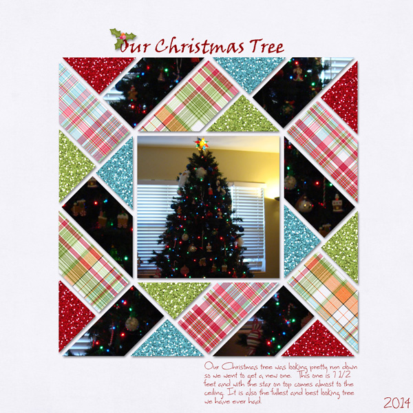 Our Christmas Tree