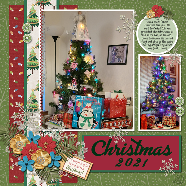 our Christmas trees