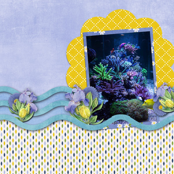 Our Coral Garden