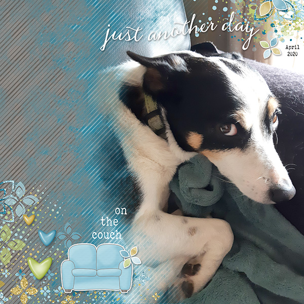 Our Dog