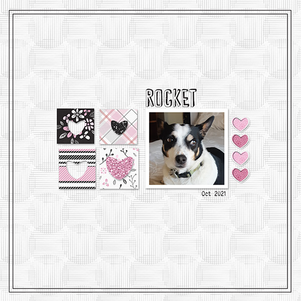 Our Dog