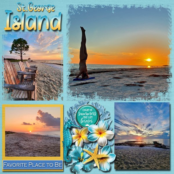 Our Favorite Island
