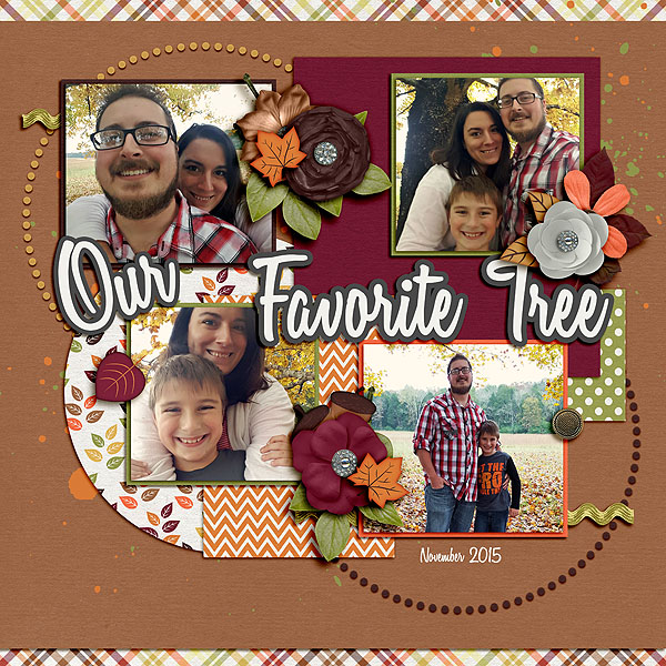 Our Favorite Tree