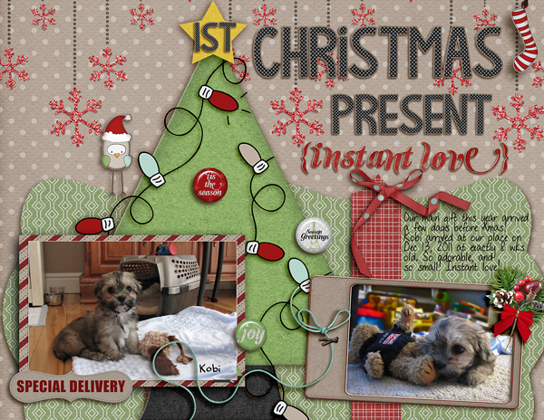 Our First Christmas Present