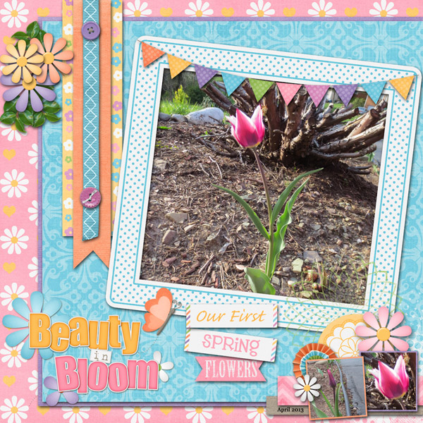 Our First Spring Flowers