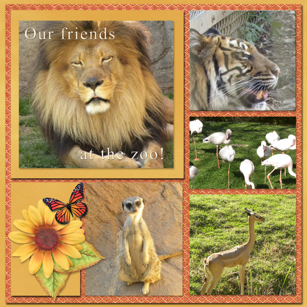 Our Friends at the Zoo