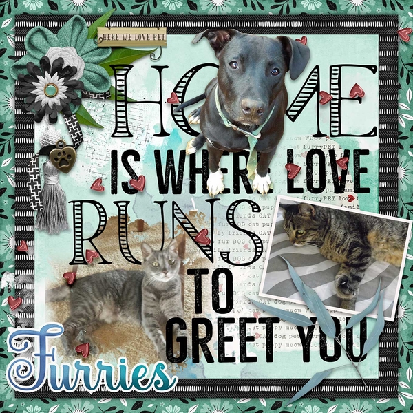 Our Furries
