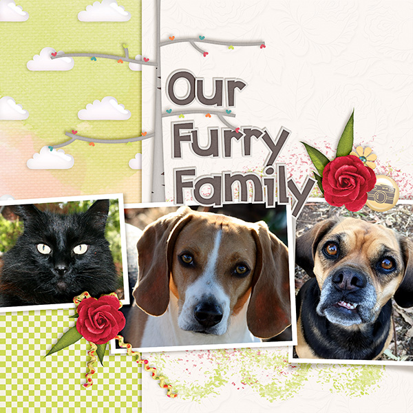 Our Furry Family