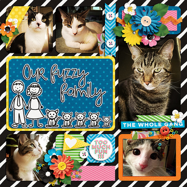 our fuzzy family