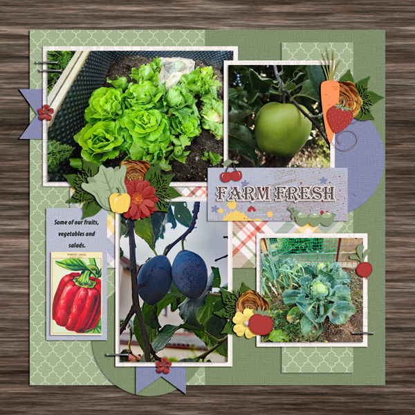 Our garden 2022