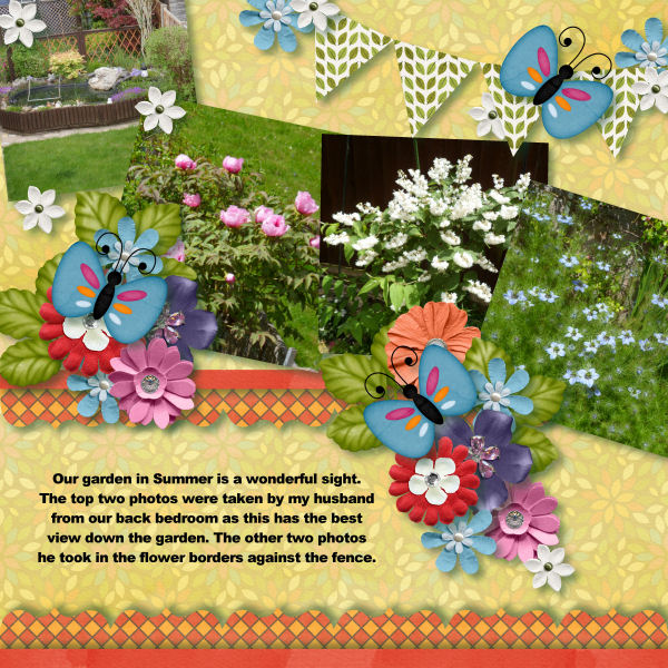 Our Garden in Summer