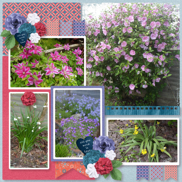 Our garden in the Summer
