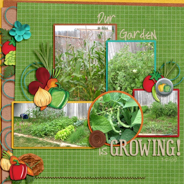 Our Garden is Growing