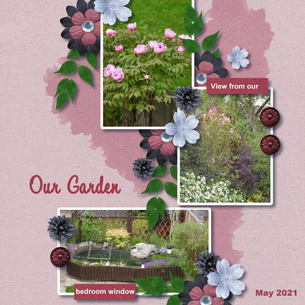 Our Garden May 2021