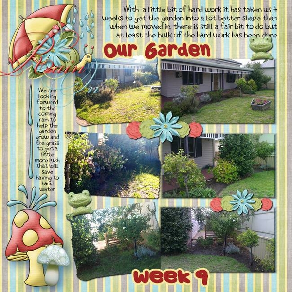 Our Garden week 9