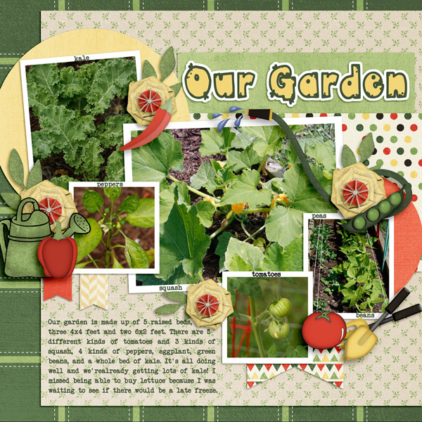 Our Garden