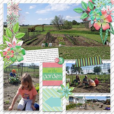 Our Garden