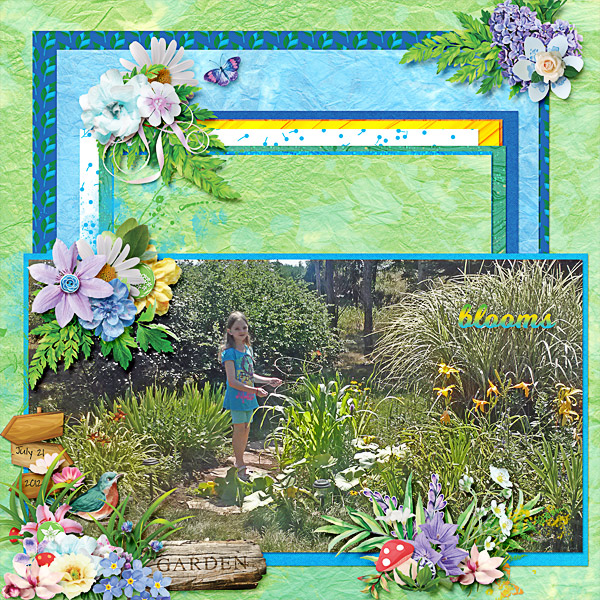 Our Garden