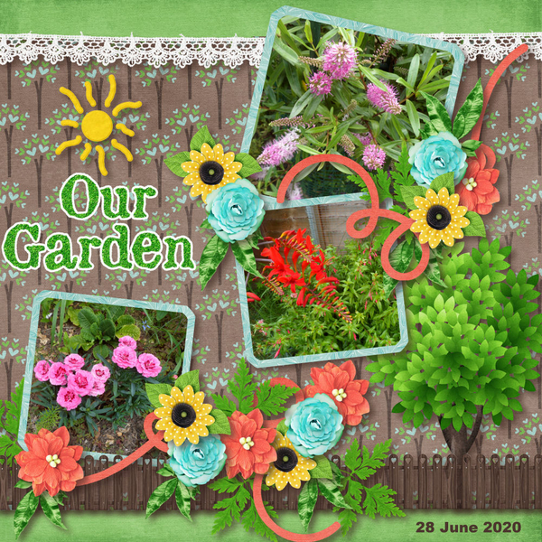 Our Garden
