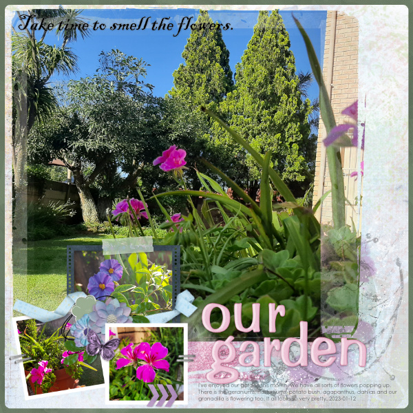 Our Garden