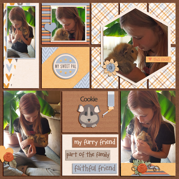 our guinea pig Cooki
