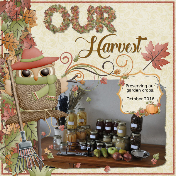 Our Harvest