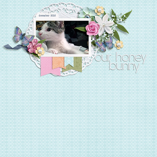 Our honey bunny