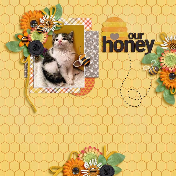 our honey