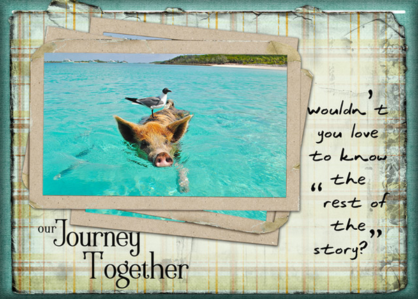 Our Journey Together