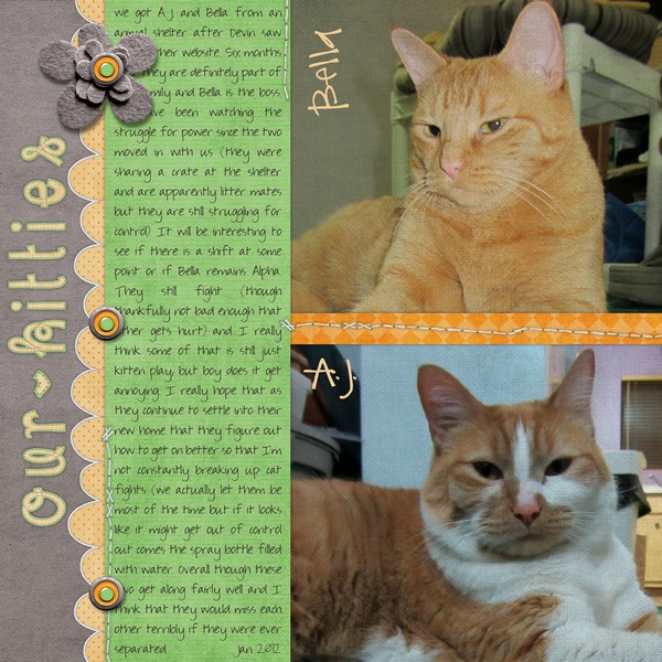 Our Kitties