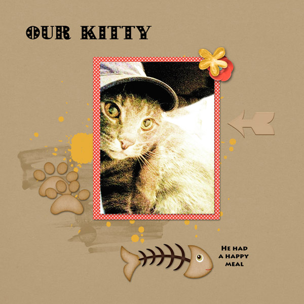 Our Kitty