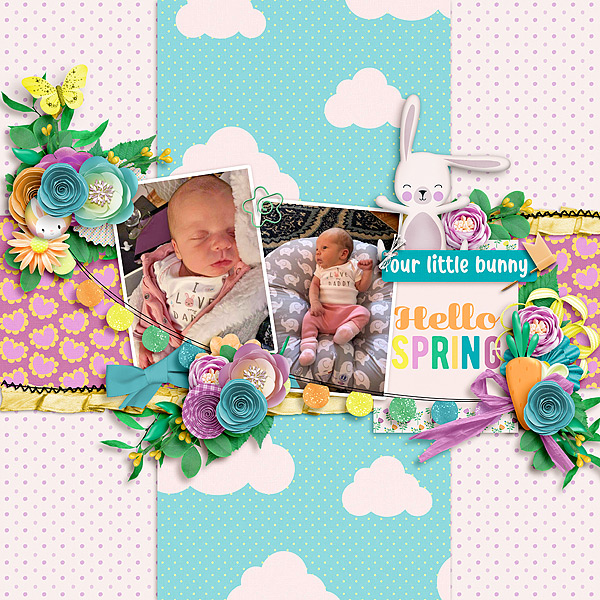 Our Little Bunny