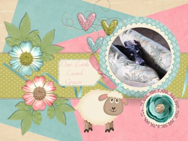 Our Little Lamb Gracie - February 2016 Color Challenge